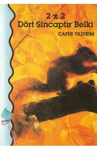 2 x 2 Dört Sincaptır Belki