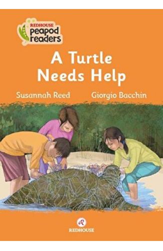 A Turtle Needs Help
