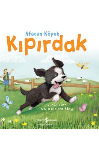 Afacan Köpek Kıpırdak