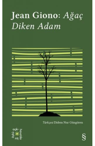Ağaç Diken Adam - Everest Açıkhava 17