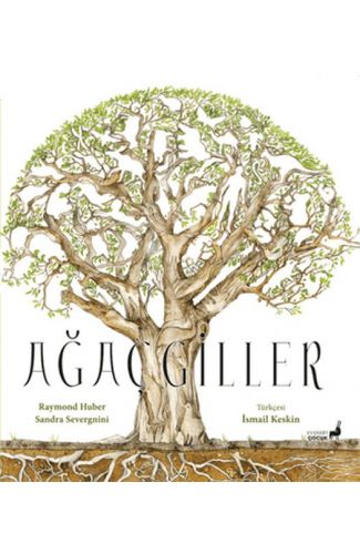 Ağaçgiller