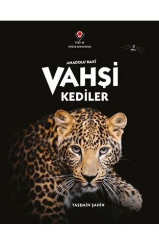 Anadolu'Daki Vahşi Kediler