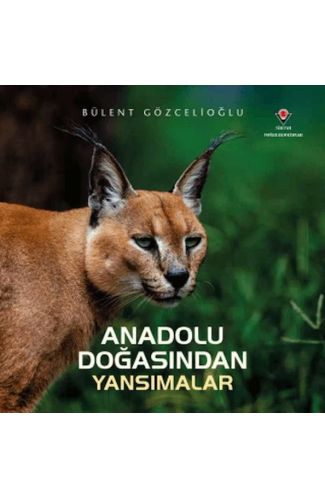 Anadolu Doğasından Yansımalar