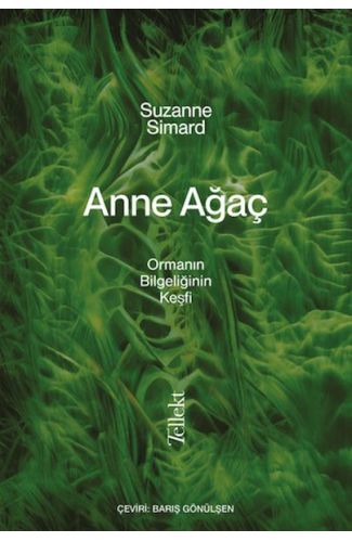 Anne Ağaç