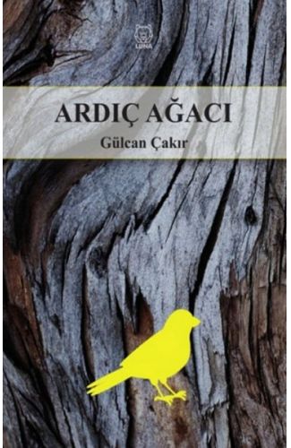 Ardıç Ağacı