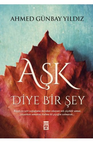 Aşk Diye Bir Şey