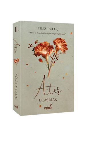 Ateş - Ulaş'mak