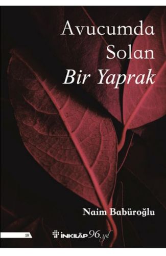 Avucumda Solan Bir Yaprak