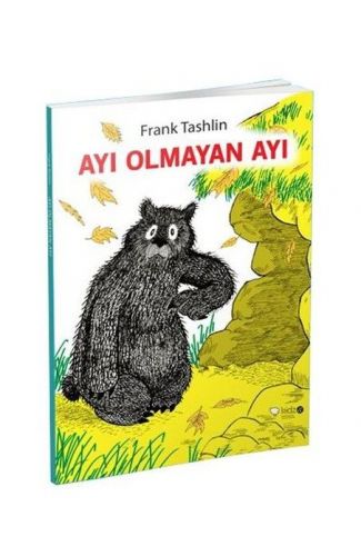 Ayı Olmayan Ayı