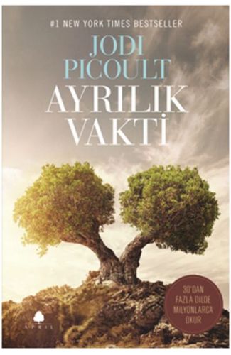 Ayrılık Vakti