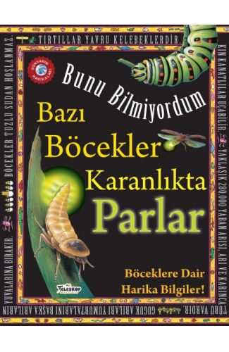 Bazı Böcekler Karanlıkta Parlar - Bunu Bilmiyordum - Böceklere Dair Harika Bilgiler!
