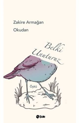 Belki Unuturuz