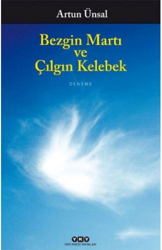 Bezgin Martı ve Çılgın Kelebek