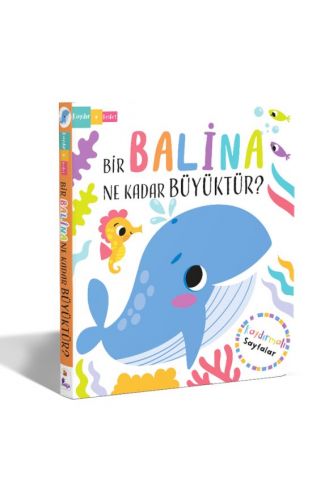 Bir Balina Ne Kadar Büyüktür? – Kaydır + Keşfet