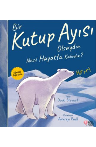 Bir Kutup Ayısı Olsaydın Nasıl Hayatta Kalırdın?