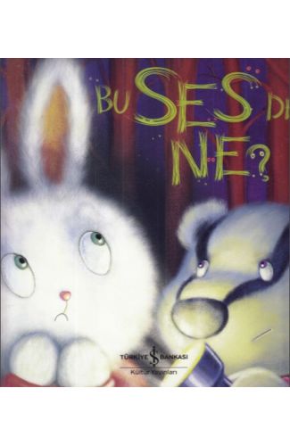 Bu Ses de Ne?