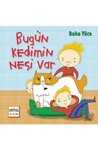 Bugün Kedimin Nesi Var