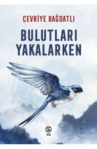 Bulutları Yakalarken