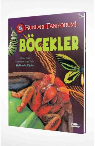 Bunları Tanıyorum! - Böcekler