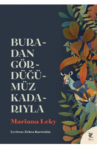 Buradan Gördüğümüz Kadarıyla