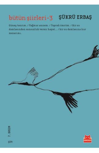 Bütün Şiirleri 3