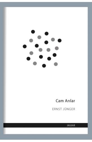 Cam Arılar