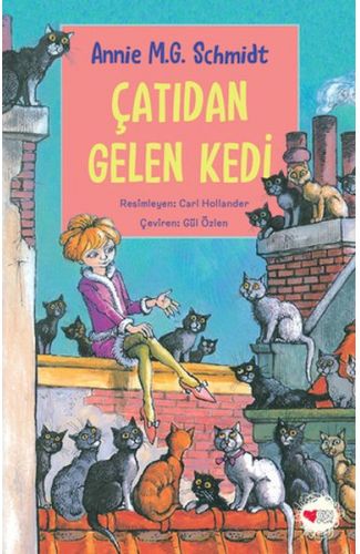 Çatıdan Gelen Kedi