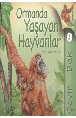 Çevir Bak Ormanda Yaşayan Hayvanlar