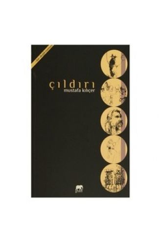 Çıldırı