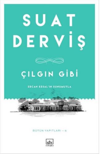 Çılgın Gibi