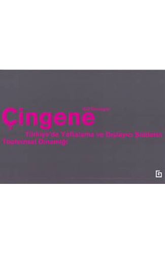 Çingene - Türkiyede Yaftalama ve Dışlayıcı Şiddetin Toplumsal Dinamiği