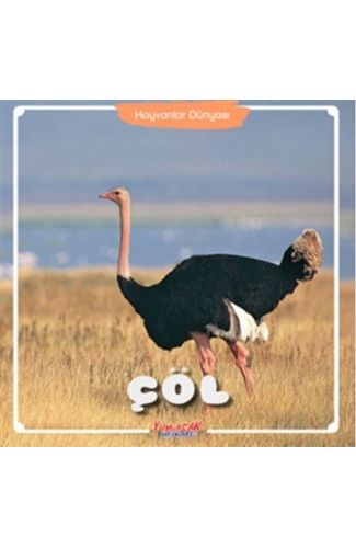 Çöl - Hayvanlar Dünyası