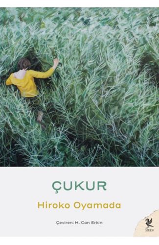Çukur