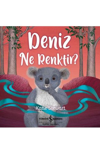 Deniz Ne Renktir?