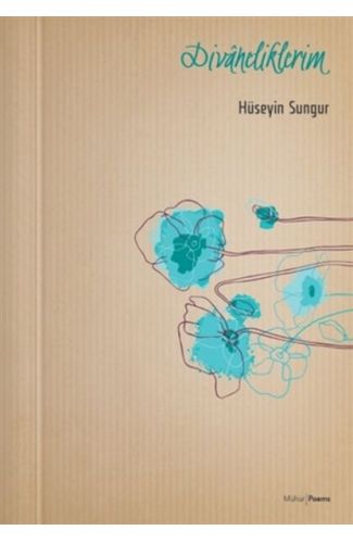 Divaneliklerim