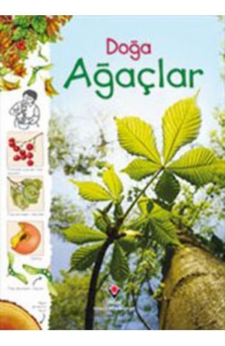 Doğa - Ağaçlar