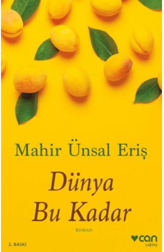 Dünya Bu Kadar