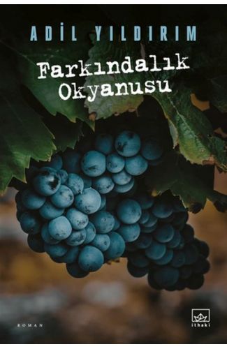 Farkındalık Okyanusu