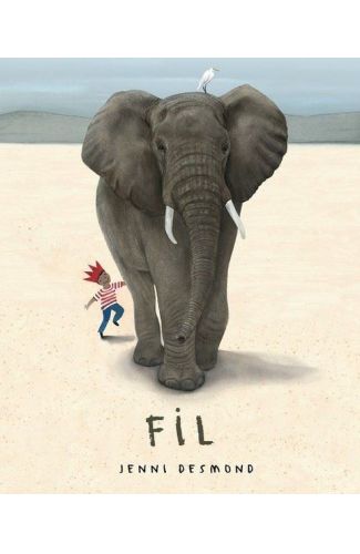 Fil - Ciltsiz