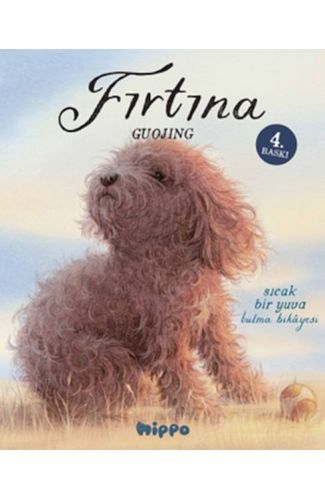 Fırtına