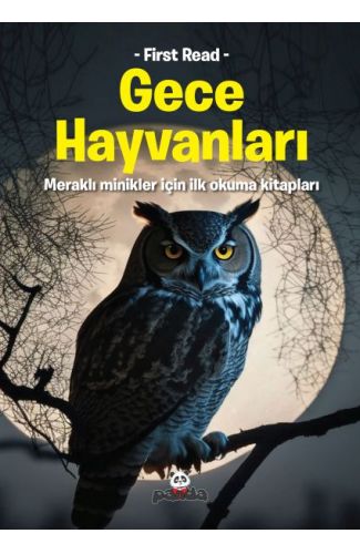 Gece Hayvanları