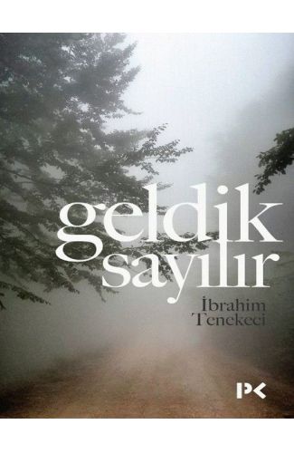 Geldik Sayılır