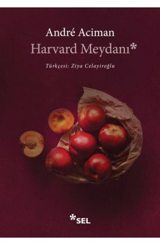 Harvard Meydanı
