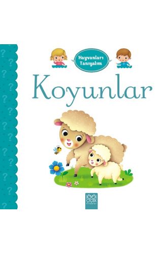 Hayvanları Tanıyalım  - Koyunlar