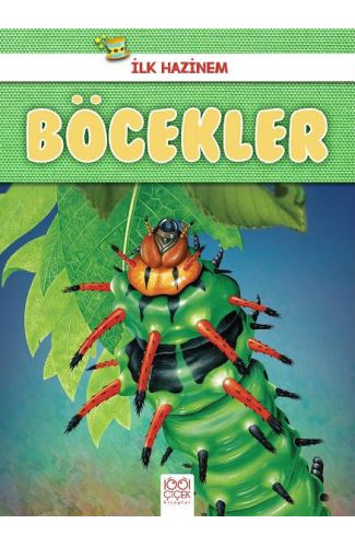 İlk Hazinem - Böcekler