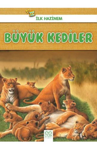 İlk Hazinem - Büyük Kediler