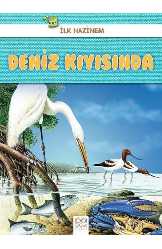 İlk Hazinem - Deniz Kıyısında