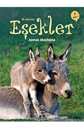 İlk Okuma - Eşekler