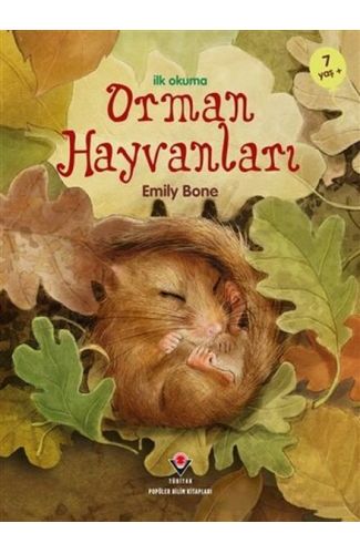 İlk Okuma - Orman Hayvanları