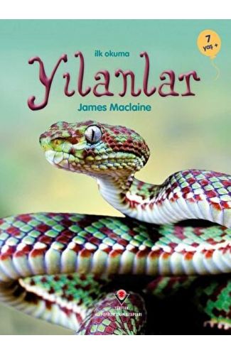 İlk Okuma - Yılanlar